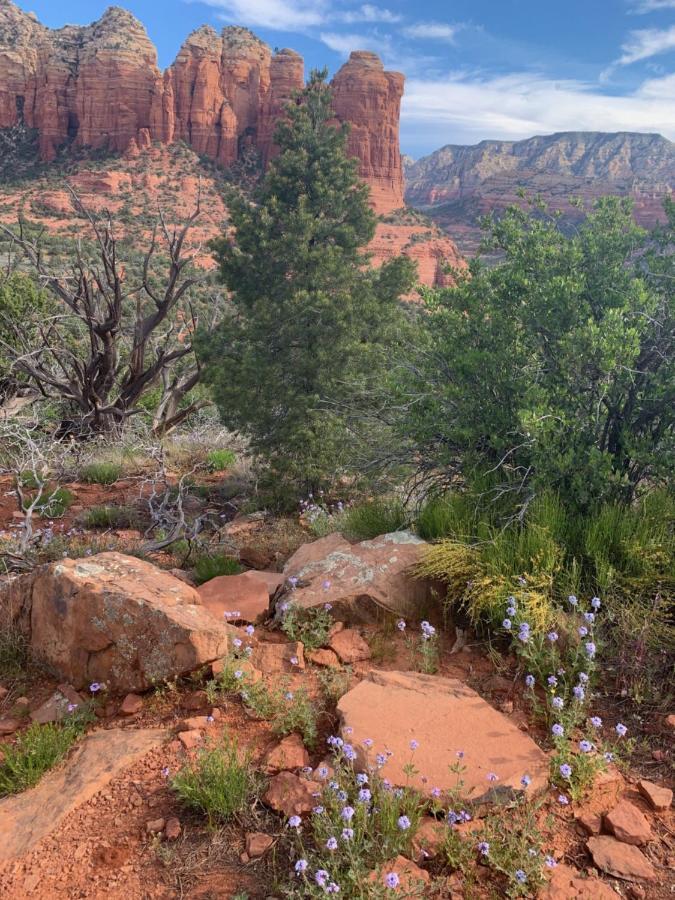 Sedona Room Homestay - Thunder Mountain מראה חיצוני תמונה